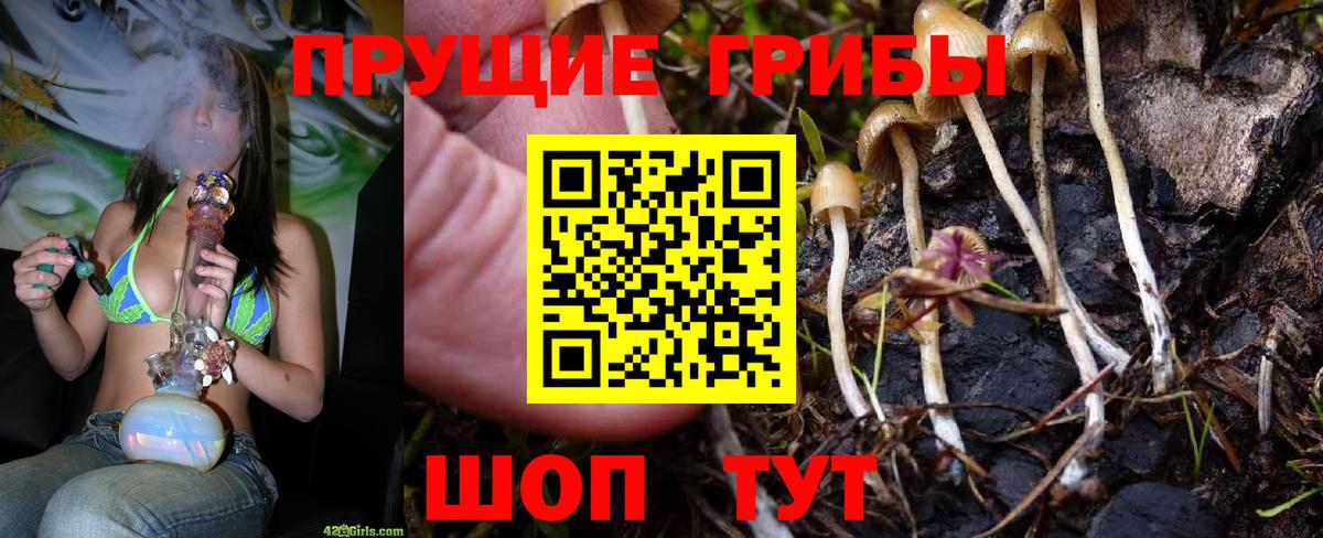 Псилоцибиновые грибы Cubensis  Галлюциногенные грибы ЛСД  сколько стоит  Вход с VPN  Бузулук 